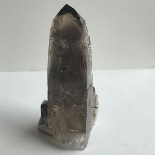 Aegirine Smoky Quartz Crystal Point - From Malawi - Metaphysical - Mineral Specimen