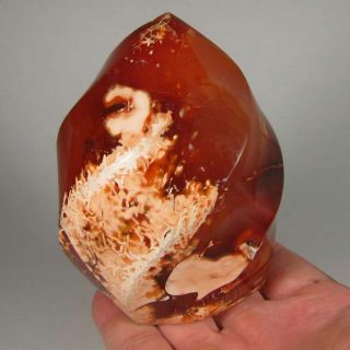 3.  8 " Carnelian Agate Flame Polished Standup Display Stone - Madagascar - 1.  3 Lbs