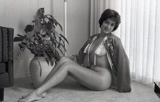 1960s Vogel Negative,  Gorgeous Nude Brunette Pin - Up Girl Rachel Taylor,  T204674