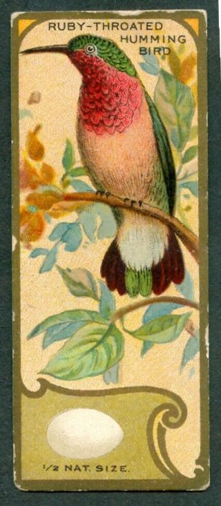 1920 Ruby Throated Humming Bird & Egg Card E225 Sen - Sen Chiclets Gum