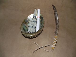Sage White Smudge Kit Spirit Removal Sage Abalone Shell And Feather