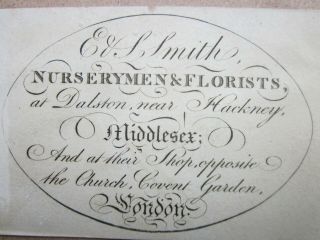 19th Century Florists Trade Card - Dalston Near Hackney - E & S Smith Nurserymen
