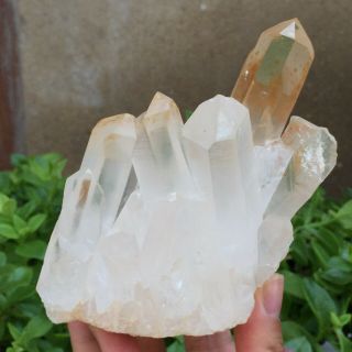 Natural White Quartz Crystal Cluster Mineral Specimen Healing 591g
