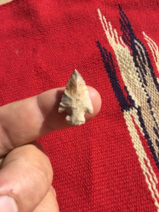 Indian Artifacts / Fine Grade Ohio Bird Point / Authentic Arrowheads