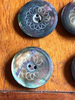 6 Matching Stunning Mother Of Pearl Buttons Carved Beautifully 11/16 "