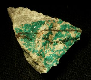 Dioptase Gemmy Crystals To 2 Mm On Matrix Fine Tn Milpillas Mine,  Mexico