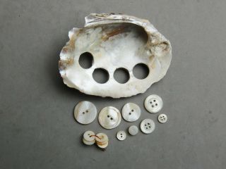 Ohio River Collector Mussel Shell Button Blank & Mother - Of - Pearl Button Set 10,