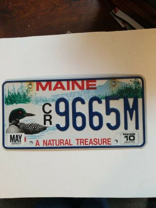 2010 Maine " Loon/a Natural Treasure " Graphic License Plate (cr 9665m)