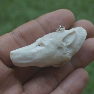 Wolf Head Carving 54x28mm Pendant P3338 W/ Silver In Antler Hand Carved