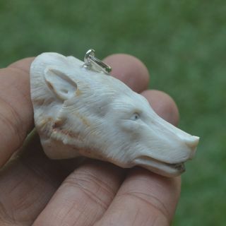 Wolf Head Carving 48x29mm Pendant P3337 W/ Silver In Antler Hand Carved
