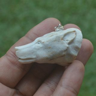 Wolf Head Carving 48x29mm Pendant P3337 w/ Silver in Antler Hand Carved 3