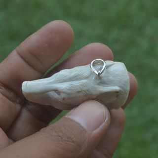 Wolf Head Carving 48x29mm Pendant P3337 w/ Silver in Antler Hand Carved 4