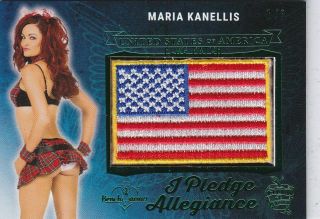 2019 Benchwarmer 25 Years Maria Kanellis Pledge Allegiance Flag Patch Card /3