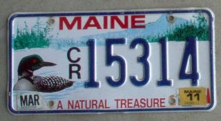 Maine 2011 Loon " A National Treasure " License Plate