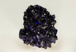 Fine Mineral Specimen - Azurite With Malachite - Milpillas Mine,  Mexico - Blue