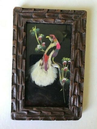 Vintage Mexican Folk Art Feathercraft Multi Colored Bird Picture Framed 3