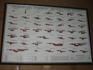 Star Trek Federation Starship Recognition Chart Poster 36 " X 24 " Pre - Rolled
