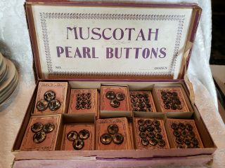 Vintage Muscotah Pearl Buttons Display Box & Buttons On Cards