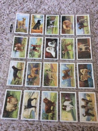 CIGARETTE CARDS.  Gallaher Tobacco.  DOGS 2nd Series.  (Complete Set of 48).  (1938) 2
