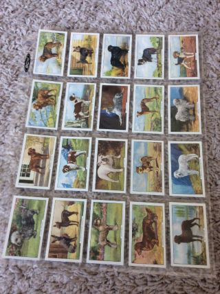 CIGARETTE CARDS.  Gallaher Tobacco.  DOGS 2nd Series.  (Complete Set of 48).  (1938) 4