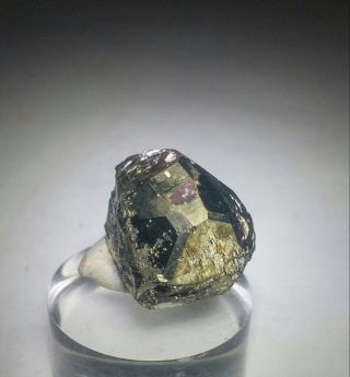 WOW GOLDEN - Sparkling Bornite ps.  Pyrite crystal,  TN Milpillas mine Mexico 3