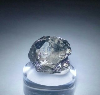 WOW GOLDEN - Sparkling Bornite ps.  Pyrite crystal,  TN Milpillas mine Mexico 4