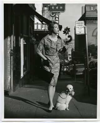1960s Photo,  Sexy Pin - Up Girl W/ Pinwheel & Poodle,  San Francisco,  8x10,  M68818