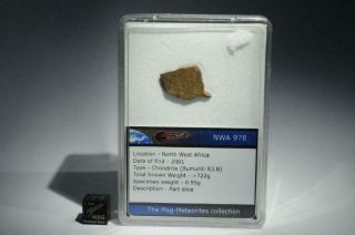 Nwa 978 Rumuruiite Meteorite Part Slice 0.  95g.  Found In Nwa In 2001