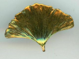 Hard To Find Ginko Leaf Realistic Button In 1996 By Battersea Hand Tinted Bronze