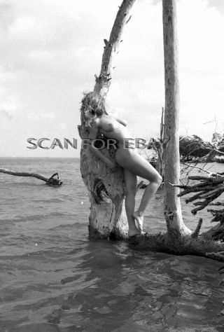 Nude 35mm Negative Busty Female Model Vintage Beach Pinup H13.  8