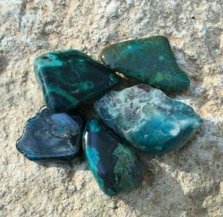63.  05 Ct Polished & Half Polished Eilat Stone King Solomon Israel Gemstone
