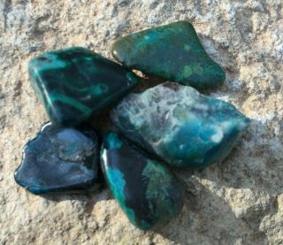 63.  05 ct polished & Half polished Eilat Stone King Solomon Israel Gemstone 3