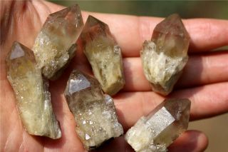 6/90g Naturaltibetan Skeletal Quartz Crystal Cluster Point Mineral Specimen