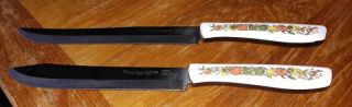 Ekco Spice Garden 2 Pc Cutlery Knives Stainless Vanadium Steel Vtg 1970s
