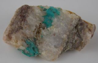Turquoise On Quartz - 3.  3 Cm - Specimen - Bisbee,  Arizona 22569