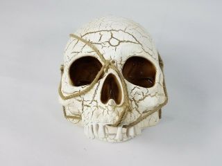Gemmy Electronic Light - Up Skull Prop Plays Halloween Movie Theme Music Hanging