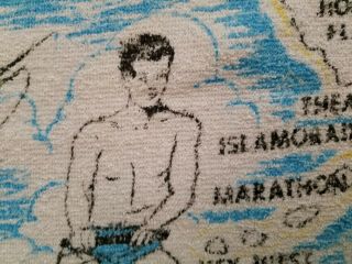 Retro Vintage Florida Flamingo Beach Towel Cannon,  USA 2