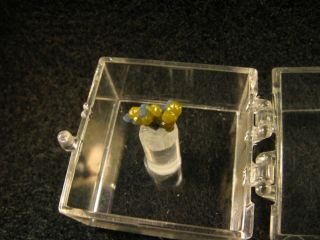 Mounted Mimetite Crystals Dri Gill,  Cornwall,  England,  Uk Micromount