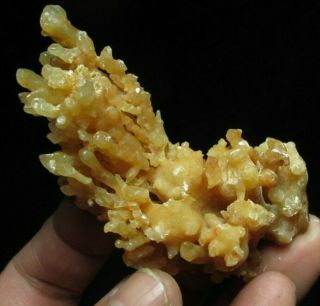 46g Natural Rare Yellow Calcite Crystal Flower Mineral Specimen 1