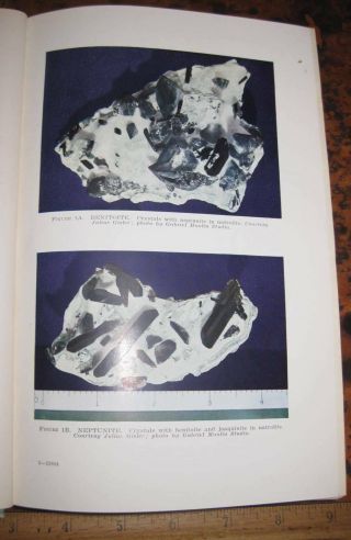 Minerals Of California By Murdoch & Webb 1956 Mining Benitoite Tourmaline Gold