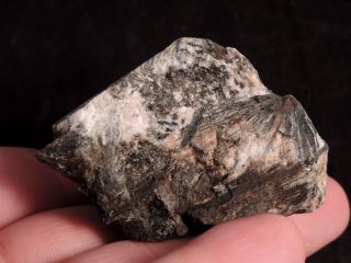 Radial Gedrite Crystals On Matrix Rare Mineral Specimen,  Skisshyttan,  Sweden