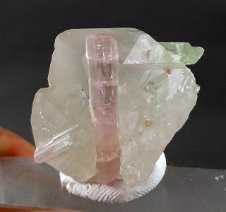 92 Carat Stunning Tourmaline Crystal On Quartz @afg