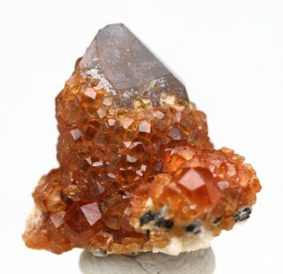 Spessartine Garnet Smoky Quartz Crystal Cluster Mineral Specimen CHINA 3