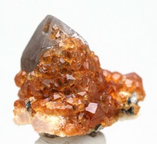 Spessartine Garnet Smoky Quartz Crystal Cluster Mineral Specimen CHINA 5