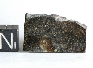 Meteorite NWA 11436 - Rumuruti R3 - 6 (S3/W - low) - Best polished Slice 3.  20g 2