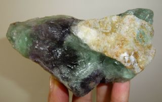 Dino: Purple & Green Fluorite Crystal Specimen,  Mexico - 328 Grams