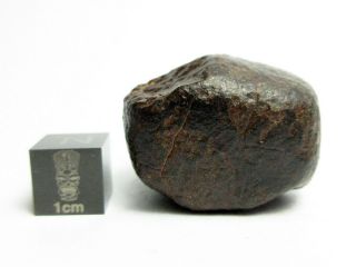 Nwa X Meteorite 28.  28g Remarkable Rock From Space