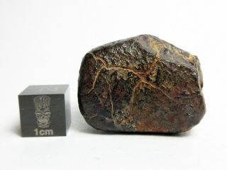 NWA x Meteorite 28.  28g Remarkable Rock From Space 2