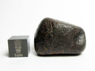 NWA x Meteorite 28.  28g Remarkable Rock From Space 3