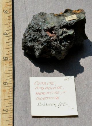 Cuprite,  Malachite,  Hematite & Goethite,  Bisbee,  Arizona,  (steve Garza Coll. ).